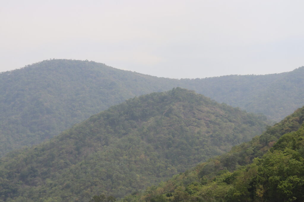 img 0758
